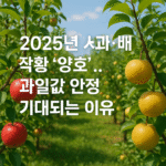 2025년-사과-배-작황-양호과일값-안정-기대되는-이유.png