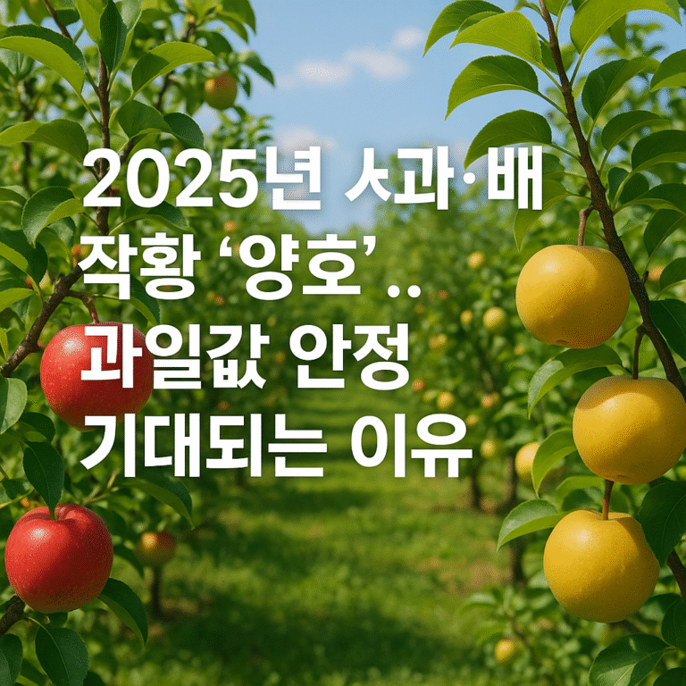 2025년-사과-배-작황-양호과일값-안정-기대되는-이유.png